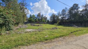 120*100 PLOT FOR SALE
